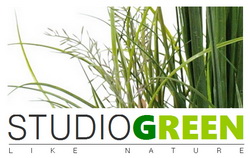 logo StudioGreen