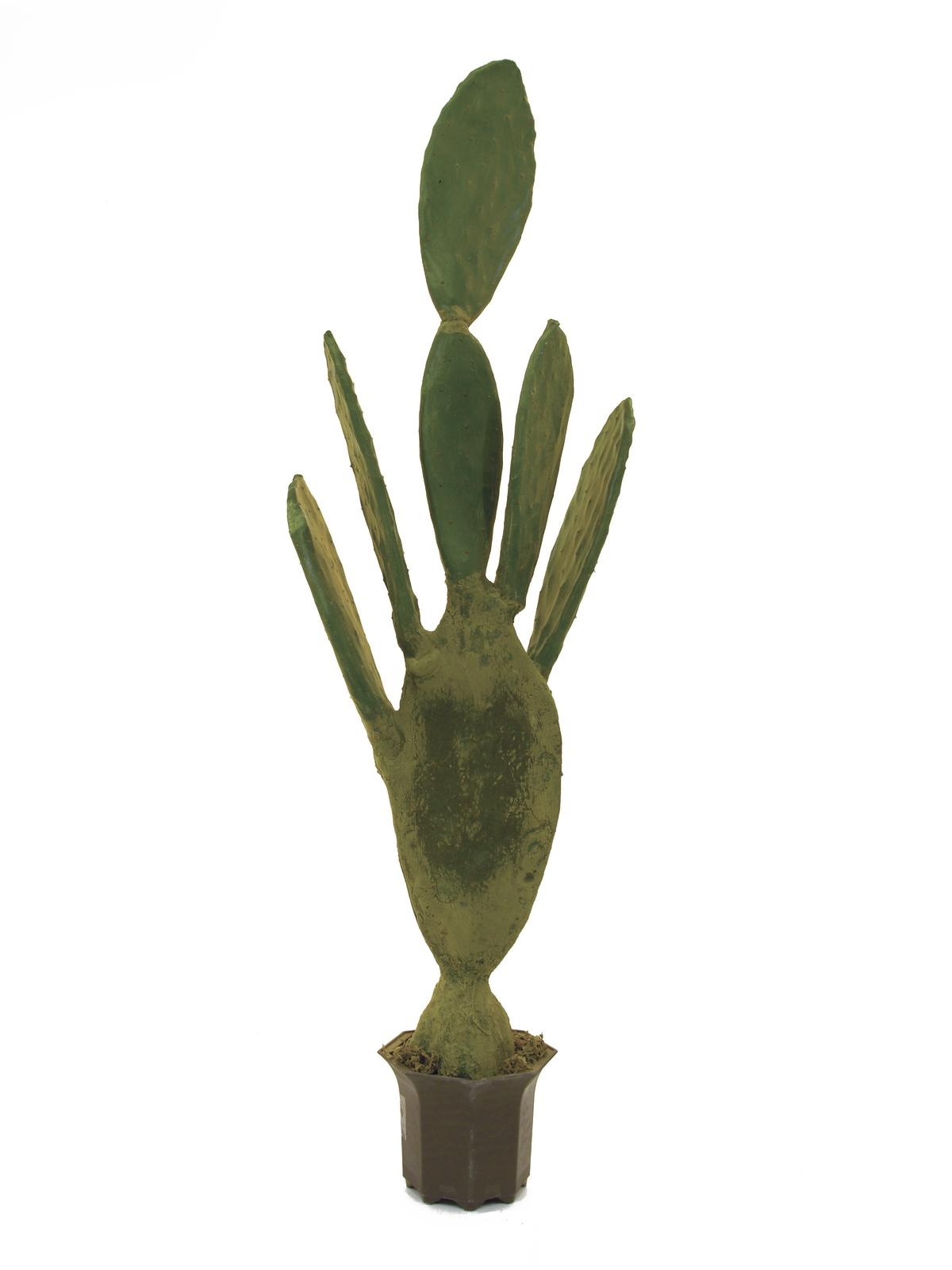 umělý kaktus jako živý