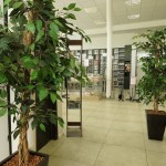 DODO - výzdoba umělé rostliny