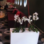 reference - květináče lobby bar hote
