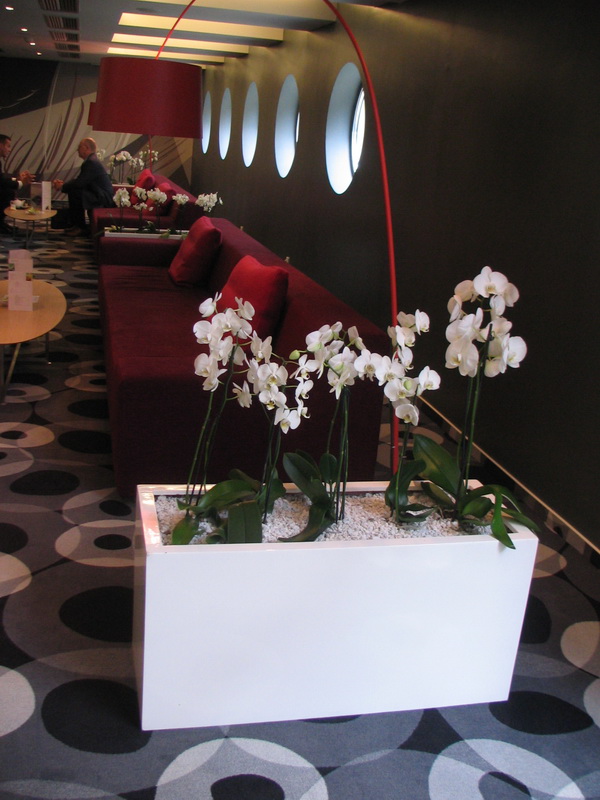 reference - květináče lobby bar hote