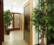 DODO - výzdoba umělé rostliny