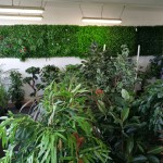 showroom umělé rostliny a zelené stěny