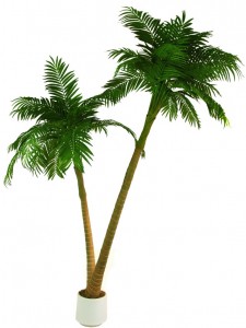 umělé palmy jako živé