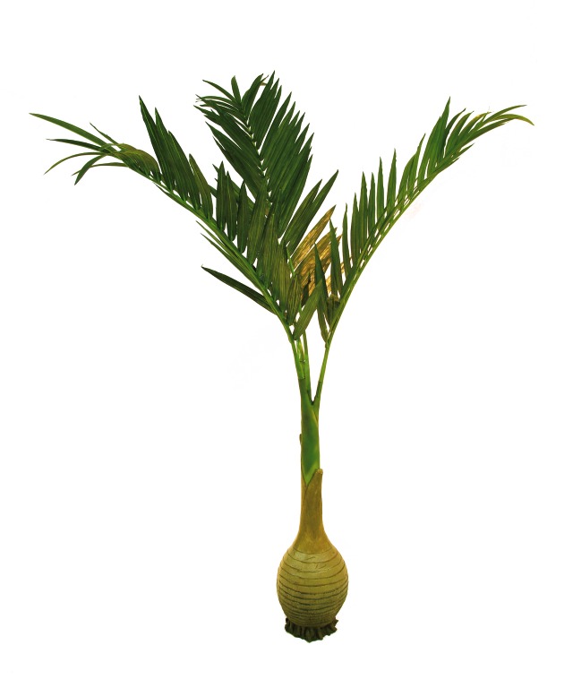 umělé palmy jako živé