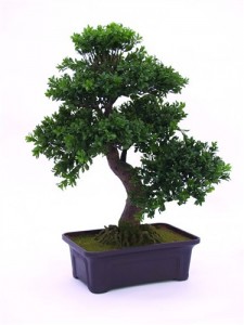 umělý bonsai jako živý