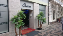 venkovní umělé palmy