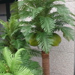 venkovní umělé palmy