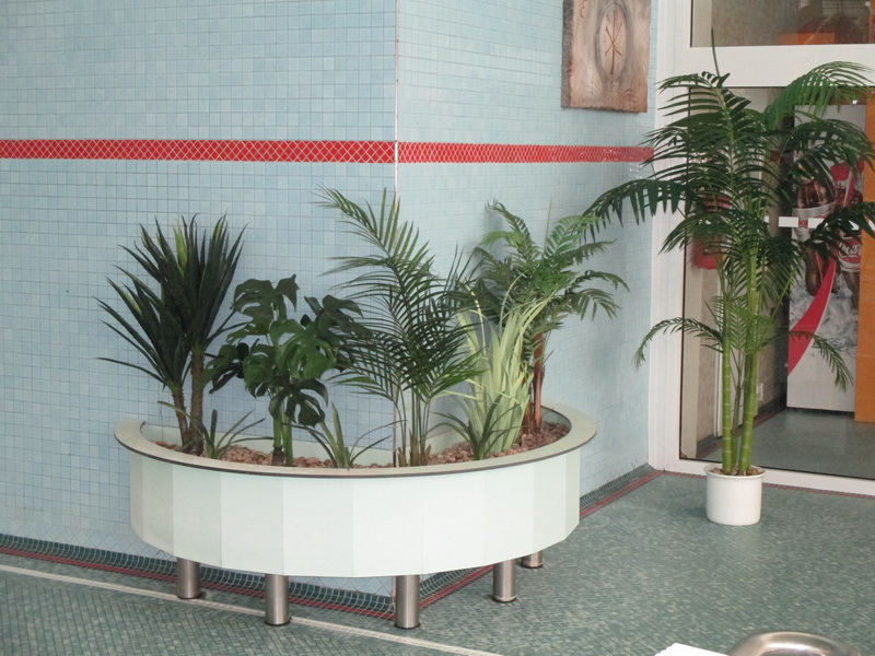 reference umělé palmy pro aqupark