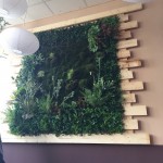 umělý mech na stěny - vertikální mechová zahrada