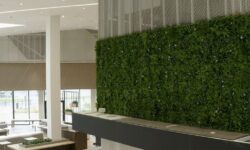 umělá živá zelená stěna svlačec - obchodní centrum Tesco Petržalka